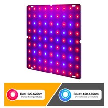 원예용품 모종 매트 LED 식물 빛 빨간색과 파란색 스펙트럼 양자 보드 즙이 많은 성장 채우기 실내 심기 영, 01 81  LEDS_01 미국