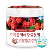 푸른들판 국산 꾸지뽕 열매 추출 분말 가루 추출물 국내산 꾸찌뽕 구찌뽕 구지뽕 haccp 인증, 1통, 160g