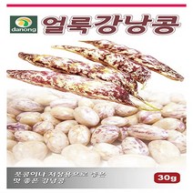 얼룩강낭콩(왜성)30g