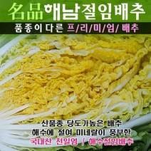 (산지직송) 명품해남절임배추 20kg (최고비싼품종 30년배추농사), 01월09일(월)도착