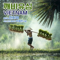 깨비유심 다낭 하노이 나트랑 베트남 전지역 4G LTE 데이터 9일 이용 유심 출국전 불량 유심 확인 가능 (4362647), 김해 공항 수령