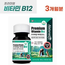 캐나다 프리미엄 비타민B12 90정 식약처 인증 시아노코발라민 정상적인 엽산대사에 필요 부모님 노년 기 비타민 영양제 알약케이스 포함, 1병