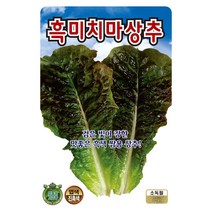 흑미치마상추씨 3000립 흑치마 상추 씨앗 대장 KS종묘, 1개