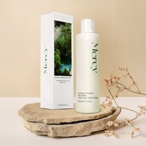 300ml 은은한 숲속느낌 향기좋은바디워시 여름 순한 등여드름 노인냄새제거 대용량