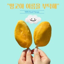 리얼 아이스 망고바 1박스 (30개입) 아이스크림 대신 얼려먹는 망고바 여름간식 여름별미 망고를 그대로 얼려놓은 과일 디저트