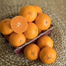 천하일품 명품 한라봉 천혜향 청견 카라향, 1박스, 19.천혜향 5kg 중대과(19-26과)