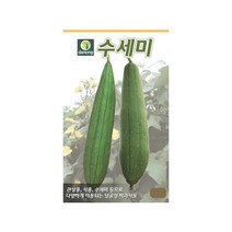 (DN) 수세미 씨앗(10립)