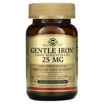 솔가 철분제 젠틀 아이언 25mg 180정 Solgar Gentle Iron, 1