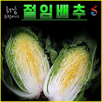 해남 유정이네 절임배추, 20kg, 도착예정일 도착1