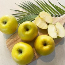 노란사과 황금사과 사과 시나노골드 가정용 흠과 사과 5kg, 가정용대과 10~12과