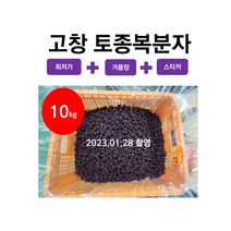 10kg 고창 토종 복분자 생과 급냉, 1개