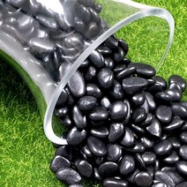 마이플랜트 유광 흑자갈 20kg 대포장, 유광 흑자갈 4호(20~30mm)