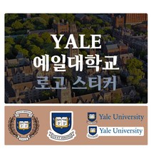 예일대학교 Yale University 로고 포인트 스티커 데칼 스킨, 4번(중형-일반)