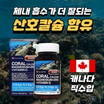 산호칼슘 마그네슘 아연 비타민D 1450mg x 90정, 6개월분
