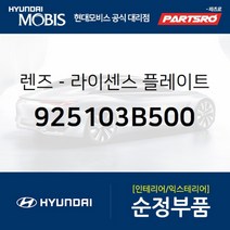 현대모비스 순정 베라크루즈 번호판 등 램프 렌즈 (925103B500)