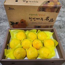 고당도 제주 황금향, 3kg (선물용_중대과 5-13과), 1개