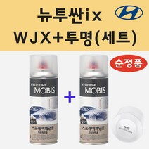 순정품 현대 뉴투싼ix WJX 하이퍼메탈릭 스프레이 페인트 + 투명스프레이