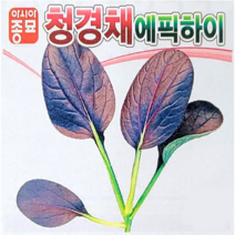 (성실)청경채씨앗 에픽하이 (4000립) 1봉