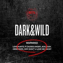[특전 포토카드 2종] 방탄소년단 (bts) 정규1집 Dark & Wild