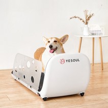 강아지런닝머신 실내 산책 사료피더 운동 트레드밀