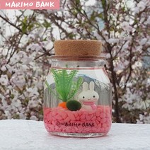 마린토끼 마리모 중(1cm) DIY세트, 핑크