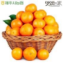 제주시농협 귤로장생 노지 조생 감귤9kg 대용량 중대과, 04.제주시농협 노지감귤 9KG 로얄과