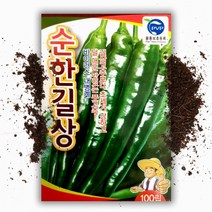 순한 길상고추 씨앗(100립) 오이고추
