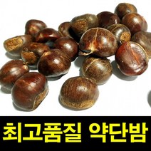 햇약단밤 1KG 칼집O 밤보관법 공주밤 밤삶기 옥광밤, 1000g