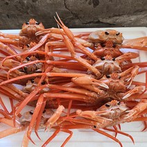 울진에서 조업한 홍게 8미 중자 3kg 자숙수 율 85% / 실속형