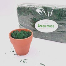 다린샵 청이끼 인조이끼 800g, 청이끼 800g, 1개