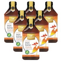 하커허벌즈 (HARKER HERBALS) 하커 허벌스 아이언 (철분) 토닉 500ml X 6개, 6000ml, 1세트