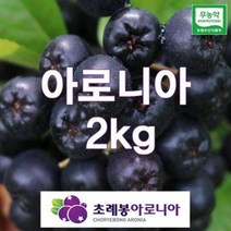 유기농 초례봉아로니아열매 상급2kg / 농장 당일수확배송