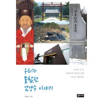 우리가 몰랐던 남양주 이야기, 출판시대