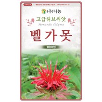 타임 1000립 - 백리향 허브 허브씨 허브씨앗 씨 씨앗 타임씨앗 타임씨 꽃씨 꽃씨앗 다년생 여러해살이 Thyme, 10_다농_벨가못(1000립)