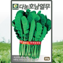 다농 호남열무씨앗 25g, 1개