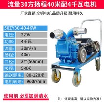 슬러지펌프 비료 정화조 오물 농장 펌프 지하수 모터 탱크 지하수 오수 하수, (2인치 220V) 4KW 펌프