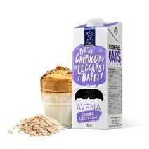 테라에판 프로페셔널바리스타오트밀크 이탈리아 귀리우유 식물성 비건 곡물 무설탕 락토프리1L원산지: 상세설명참조