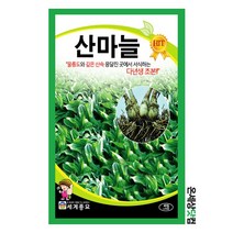 산마늘 40립 / 산마늘씨앗 명이나물씨 종자 토속나물 주말농장 베란다텃밭, 1개