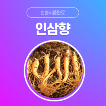 [한솔식품원료] 인삼향 ( Ginseng Flavor) (액상 Type) [30g/50g/100g/1kg/5kg/10kg], 100g