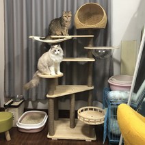 고양이 캣타워 등반 단단한 나무 나무 한 집 큰 등나무 장난감 키튼 박스 노묘 아기 낮은 캣폴 DIY, 목성 둥지 해먹 전망대 우주 캡슐 등나무 둥지 포