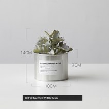 작은 화분 장식 모사 식물 다육 조화 거실 실내 테이블 장식 북유럽 그린 식 ins 풍 분경 선물, 실버철[작은]+세컬러멀티치아잎