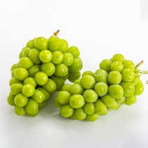 GAP 고당도 샤인머스켓 실속형 1kg (2~3수) 에어캡포장, 1kg(2~3수), 1박스