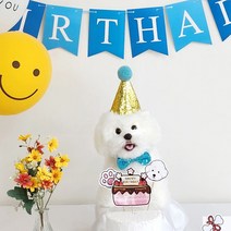 [나랑파티] 강아지 고양이 생일 파티 용품 생일상 소품 돌상 돌잔치 100일 백일 생일 대여 아닌 판매제품 잔치 풍선, 플래그_블루