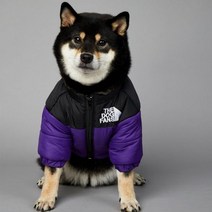 경량 강아지 명품 올인원 발열 패딩 SUPREPET 패드 겨울 옷 따뜻한 바람막이 솔리드 코트 코튼 디자이너 대형견 액세서리, L, 보라색