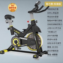 헬스장자전거 미니 실내 자전거 블루 캐슬 스피닝 바이크 홈 스포츠 운동 초저소음 체중, 노란색 d525 자기 제어 음소거전자 시계스마트