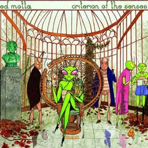 [LP] Ed Motta (에드 모타) - Criterion of the Senses [LP]