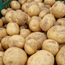 1+1 농원직송 국내산 강원도 고랭지 포슬포슬한 햇 수미 감자 첫수확 2박스 10kg, 1개