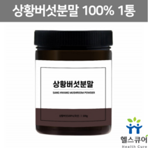 뽕나무 상황버섯 분말 가루 상황버섯 추출물 액기스 파우더 목질진흙버섯 상황버섯물 상황버섯액 국내산