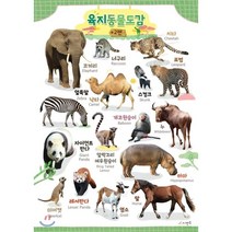시멘토 학습벽보 학습앱 육지동물도감 2