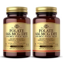 솔가 엽산 666 MCG DFE 400MCG 250정 X 2병, 단품, 단품